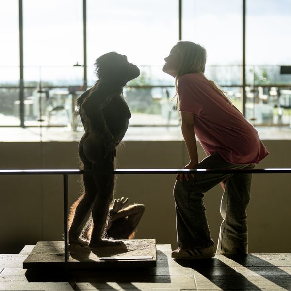 Menneskets historie på 15 minutter