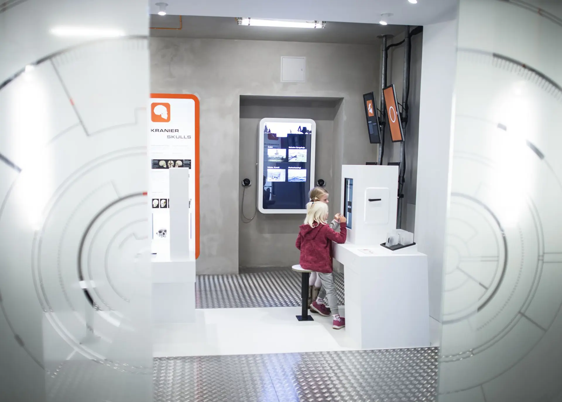boern-i-junior-lab-paa-afstand