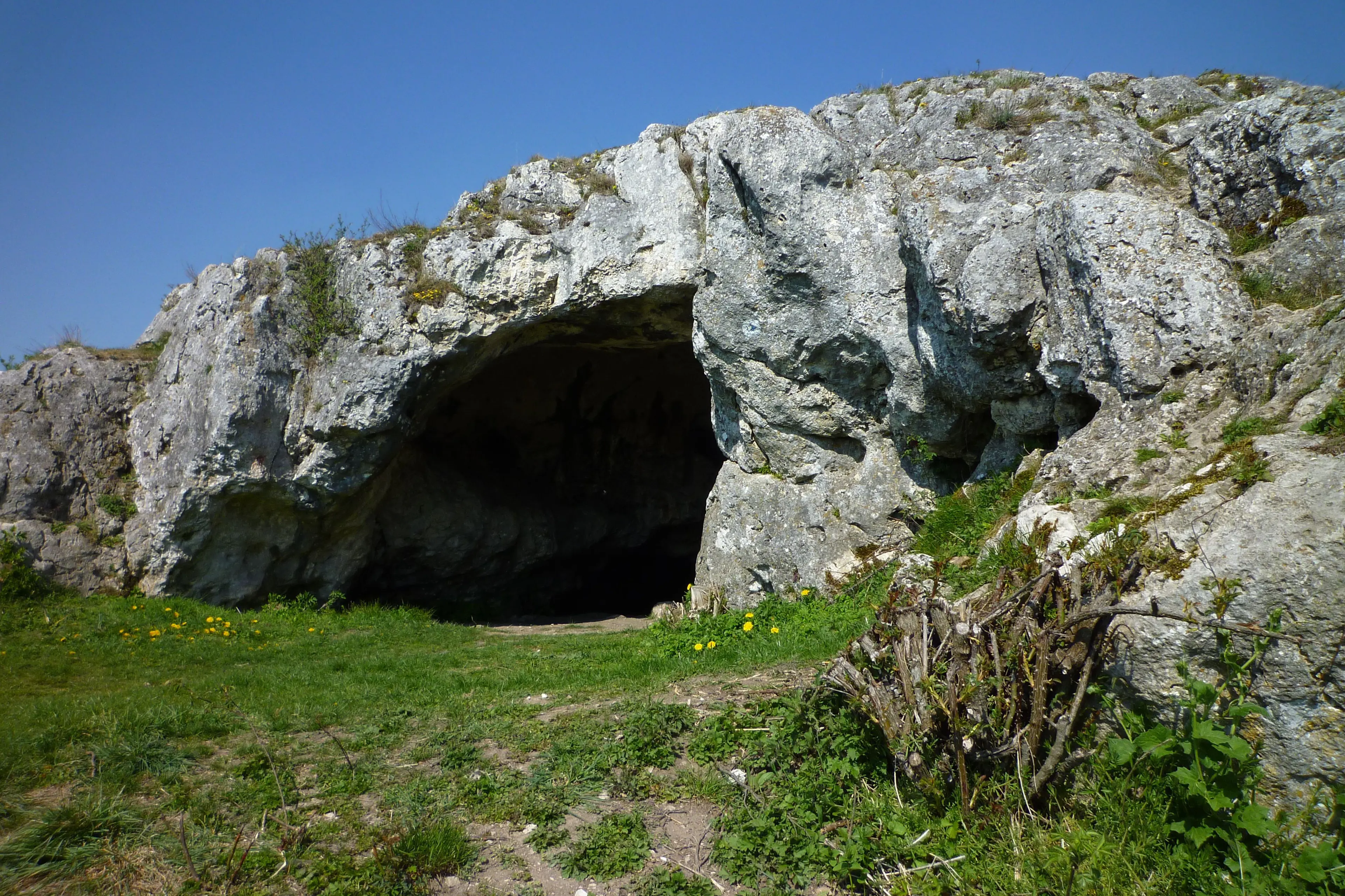 hule-fra-tyskland